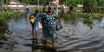 Ruined Rice Fields and Broken Rail Lines: Sri Lanka Counts Cost of Cyclone