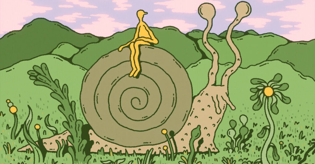 To Feel at Home in a New Place, It Helps to Think Like a Snail