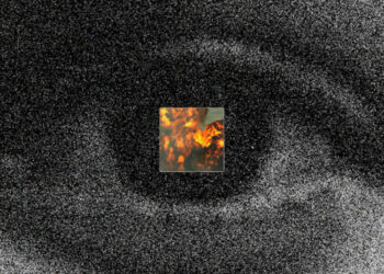 Trump’s Boat Strikes Corrode America’s Soul