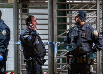 Man Accused of Setting Subway Rider on Fire Is Charged With Arson