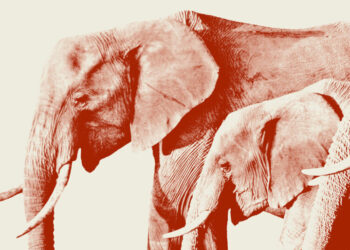 Republicans Are Quietly Pushing Back Against Trump