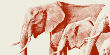 Republicans Are Quietly Pushing Back Against Trump