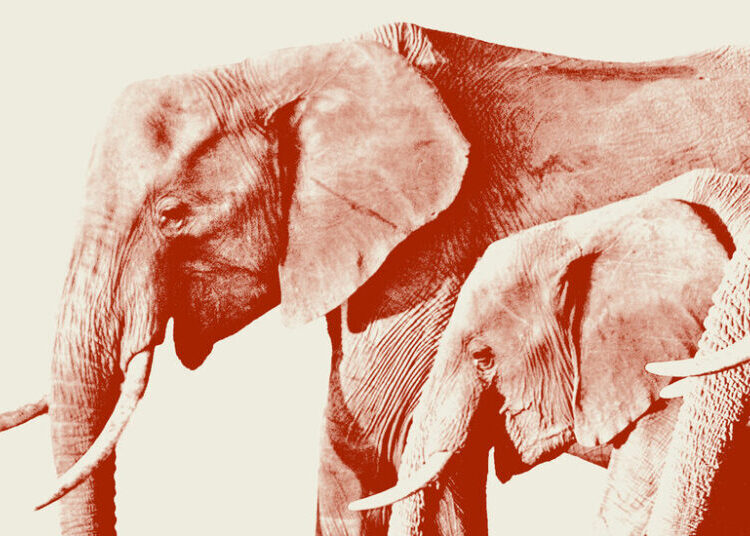 Republicans Are Quietly Pushing Back Against Trump