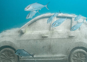 Miami Beach’s New Traffic Jam Frolics With the Fishes