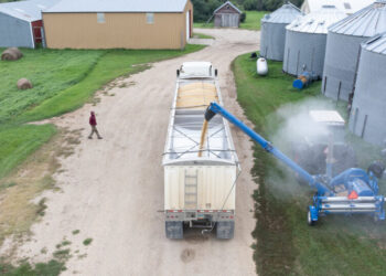 Bessent Divested From Soybean Farms After Ethics Office Warning