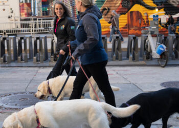 Will the N.Y.P.D. Push Its Therapy Dogs Into Early Retirement?