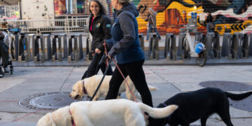Will the N.Y.P.D. Push Its Therapy Dogs Into Early Retirement?