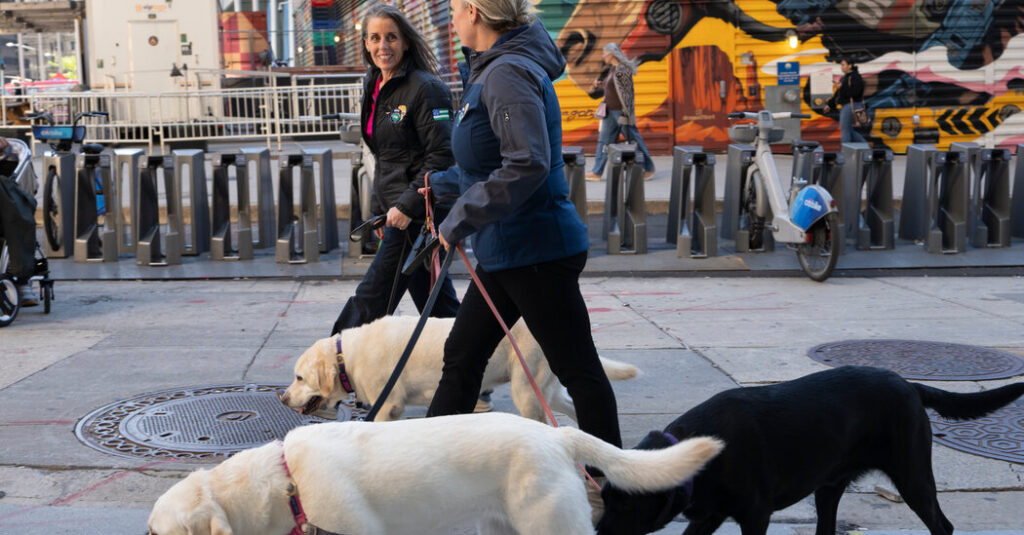 Will the N.Y.P.D. Push Its Therapy Dogs Into Early Retirement?