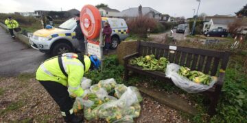 Marooned off the English Coast: Lots of Bananas