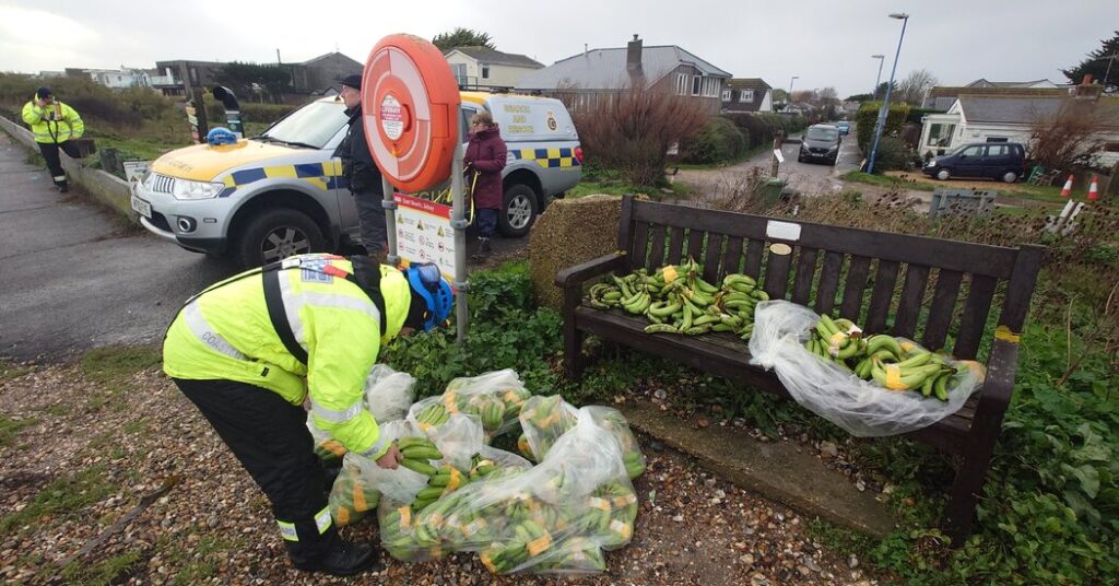 Marooned off the English Coast: Lots of Bananas