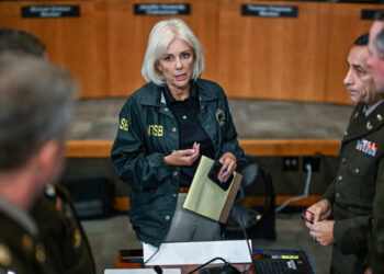 Defense Bill Will Make D.C. Skies Less Safe, N.T.S.B. Chair Says