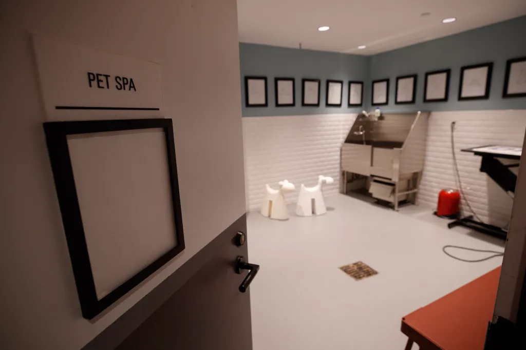 The door to a pet spa with a professional washing station, pet-friendly artwork on the walls, and dog-shaped chairs.