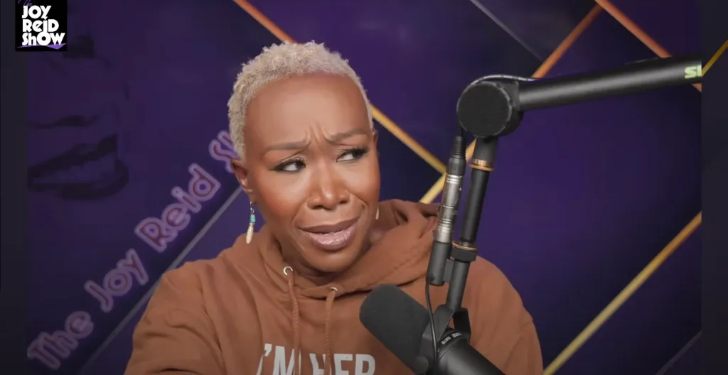 Joy Reid wearing a brown hoodie and an earring with a feather, speaking into a microphone.