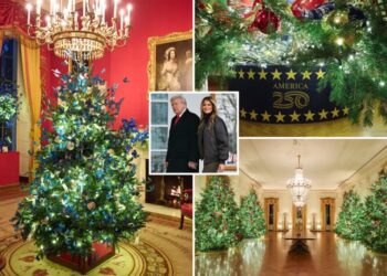 First lady Melania Trump unveils White House Christmas decorations: ‘Warmth and comfort ‘