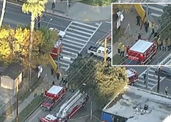 Veteran California tree trimmer dead in freak impalement accident