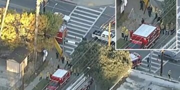 Veteran California tree trimmer dead in freak impalement accident