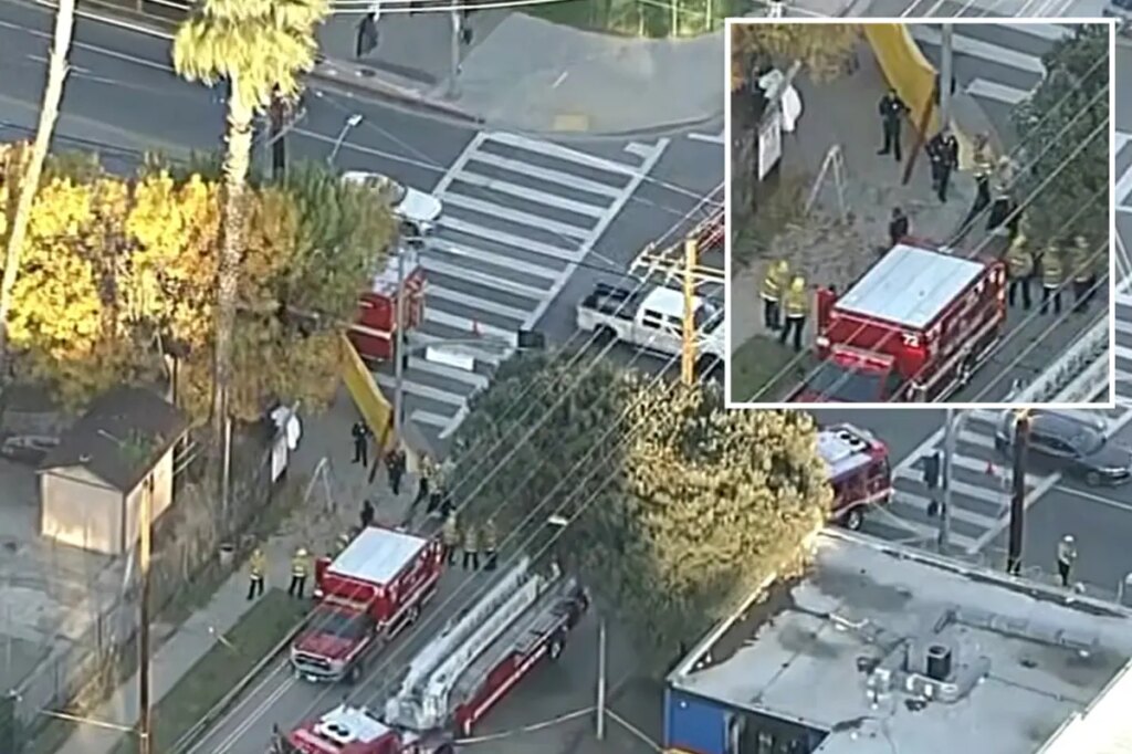 Veteran California tree trimmer dead in freak impalement accident