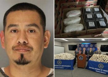 Feds arrest felon illegal immigrant after seizing tens of millions in meth stashed in blackberries