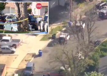 Son stabbed father to death with scissors shot and killed by police