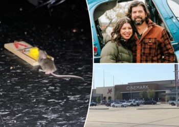 Determined moviegoer tackles cinema’s mouse problem in a bold way — and floats solution for NYC rat plague