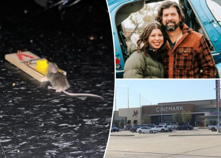 Determined moviegoer tackles cinema’s mouse problem in a bold way — and floats solution for NYC rat plague