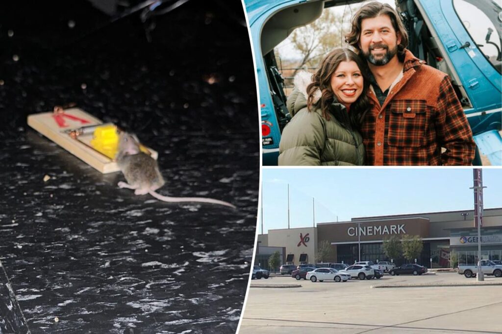 Determined moviegoer tackles cinema’s mouse problem in a bold way — and floats solution for NYC rat plague