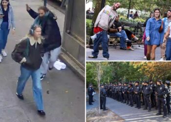 NYU students lament loss of Washington Sq. Park’s homeless junkies — even as classmate is brutally attacked by vagrant