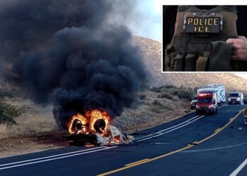 Illegal immigrant with history of drunk driving charged with killing girl 8, in booze-fueled crash in San Diego