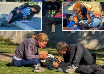 Inside the fentanyl ‘zombie zone’ public park thriving under LA’s DSA regime — where people die daily