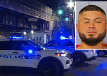Homeless illegal immigrant—deported from US twice— allegedly stabs man on Charlotte light rail