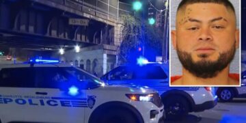 Homeless illegal immigrant—deported from US twice— allegedly stabs  man on Charlotte light rail