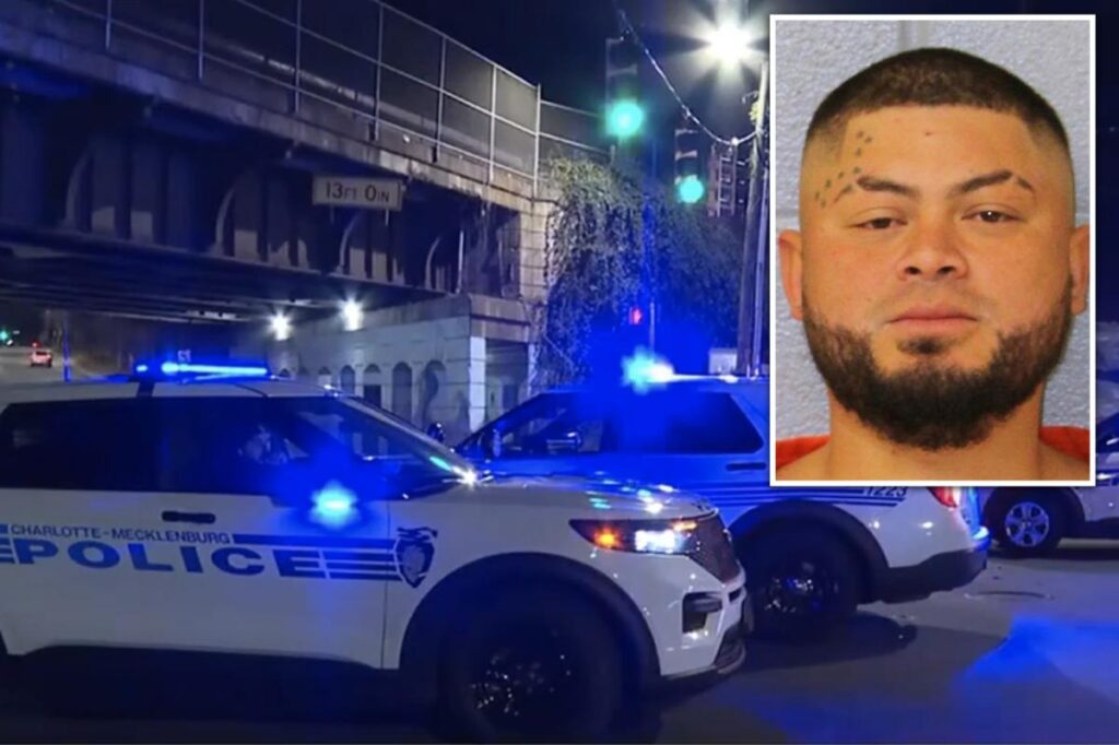 Homeless illegal immigrant—deported from US twice— allegedly stabs man on Charlotte light rail
