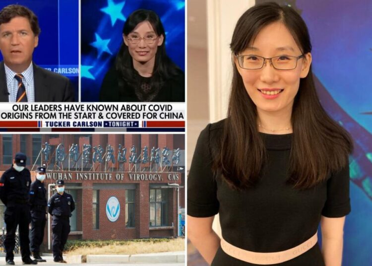 Doc who fled China hides in US over fears communists want revenge on COVID lab theories