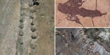16,000 fossil footprints in central Bolivia reveal dinosaur behavior