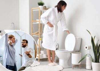Husband slams wife for ‘disgusting’ bathroom habit — and is met with swift backlash