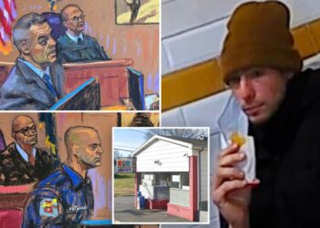 Small-town cops who busted Luigi Mangione wagered turkey hoagie if they made improbable arrest