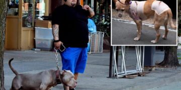 Justice for Penny! NYC dog owner  behind bars for failing to turn over dogs involved in multiple attacks