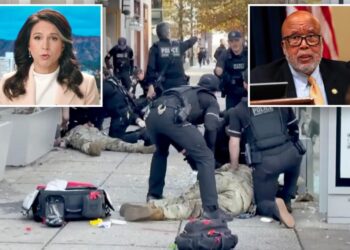Tulsi Gabbard rips Dem rep for ‘infuriating’ claim DC National Guard shooting was ‘unfortunate accident’