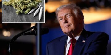 Cannabis stocks spike on reports Trump plans to ease federal pot restrictions