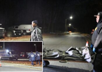 Human remains discovered at Van Cortlandt Park in Bronx: cops