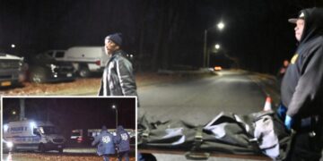 Human remains discovered at Van Cortlandt Park in Bronx: cops