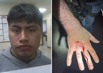 Illegal immigrant bites ICE officer, draws blood while resisting arrest in Louisiana: DHS