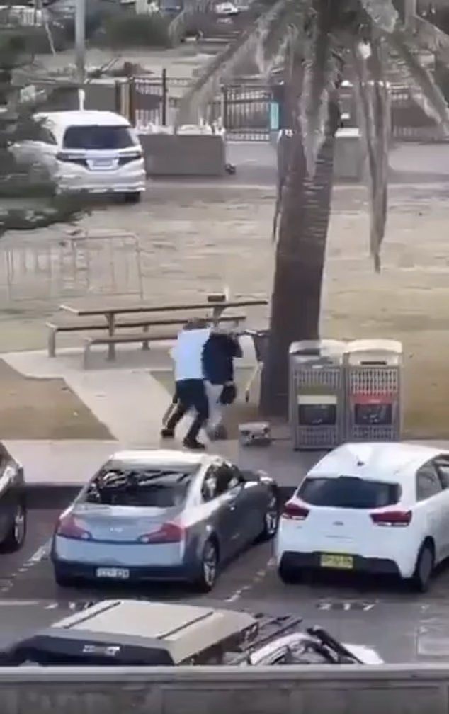 Two men in a park next to a tree and garbage cans, with parked cars in the foreground.