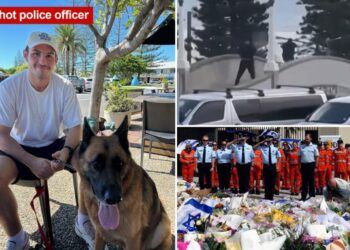 Officer learned he was going to be a dad days before he was shot during Bondi Beach terror attack