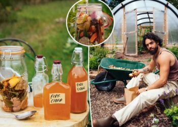 Celebrity chef shares ‘age-old’ fire cider recipe that ‘gives you a protective shield’ of immunity — especially in winter