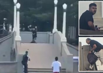 Bondi Beach hero helped disarm terrorist before police mistakenly shot him: report