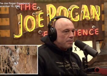 Joe Rogan blames liberal policies for allowing ‘monster’ creatures to eat house pets