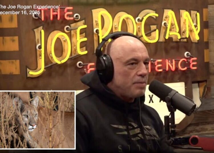 Joe Rogan blames liberal policies for allowing ‘monster’ creatures to eat house pets