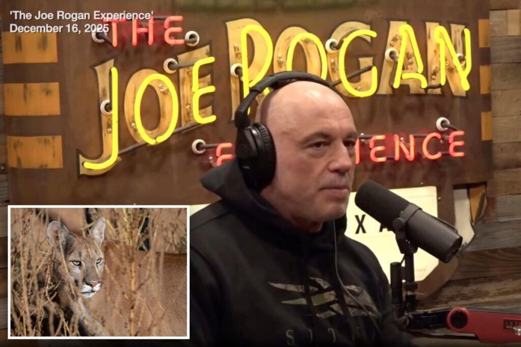 Joe Rogan blames liberal policies for allowing ‘monster’ creatures to eat house pets