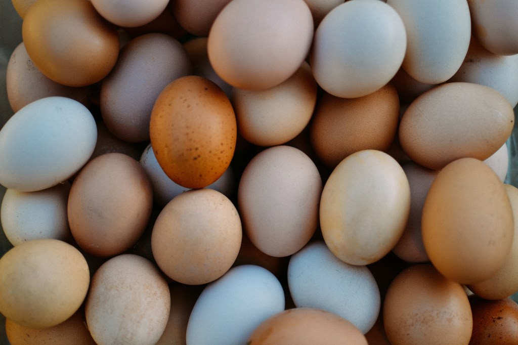 A close-up of a pile of raw, farm-fresh organic chicken eggs in varying shades of brown, white, and blue.
